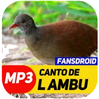 Canto De Lambu Completo